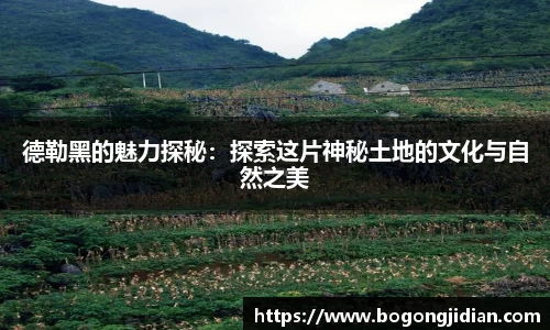 德勒黑的魅力探秘：探索这片神秘土地的文化与自然之美