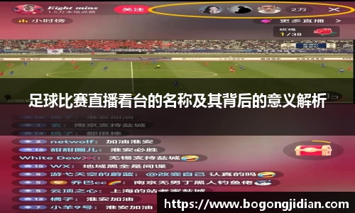足球比赛直播看台的名称及其背后的意义解析